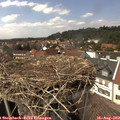 14_50-nest.jpg