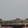 14_55-mast.jpg