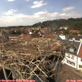 14_55-nest.jpg