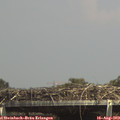 15_00-mast.jpg
