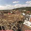 15_00-nest.jpg