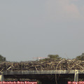 15_05-mast.jpg