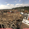 15_05-nest.jpg