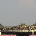 15_10-mast.jpg
