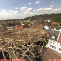 15_10-nest.jpg