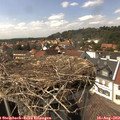 15_15-nest.jpg