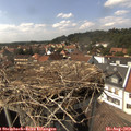 15_20-nest.jpg