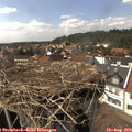15_25-nest.jpg