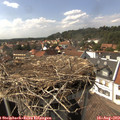 15_30-nest.jpg