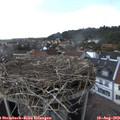 15_40-nest.jpg