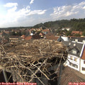 15_45-nest.jpg