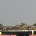 15_50-mast.jpg