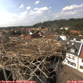 15_50-nest.jpg