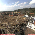 15_55-nest.jpg
