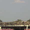 16_00-mast.jpg