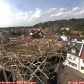 16_00-nest.jpg