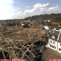 16_05-nest.jpg