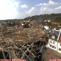16_10-nest.jpg