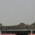 16_15-mast.jpg