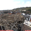 16_15-nest.jpg