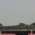 16_20-mast.jpg