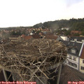 16_20-nest.jpg