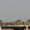 16_25-mast.jpg