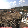 16_25-nest.jpg