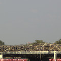 16_30-mast.jpg