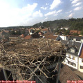 16_30-nest.jpg