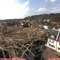 16_35-nest.jpg