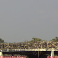 16_40-mast.jpg