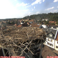16_40-nest.jpg