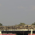 16_45-mast.jpg