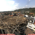 16_45-nest.jpg