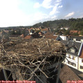16_55-nest.jpg