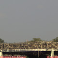 17_10-mast.jpg