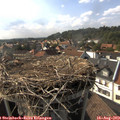 17_10-nest.jpg