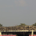 17_15-mast.jpg