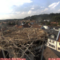 17_15-nest.jpg