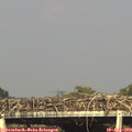 17_20-mast.jpg