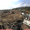 17_20-nest.jpg
