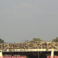 17_25-mast.jpg