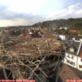 17_25-nest.jpg