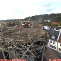 17_35-nest.jpg