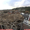 17_40-nest.jpg