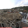17_45-nest.jpg