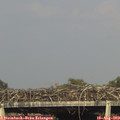 17_55-mast.jpg