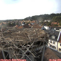 17_55-nest.jpg
