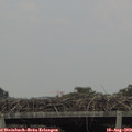 18_00-mast.jpg